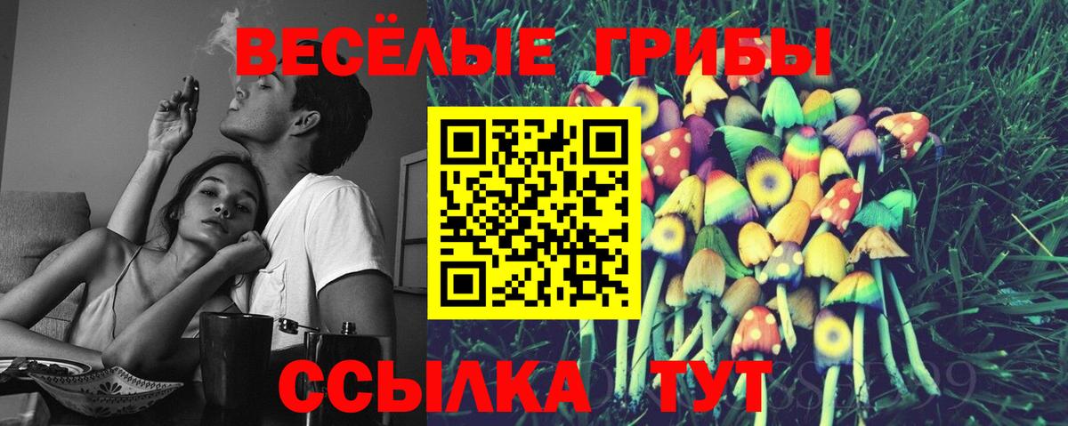 Псилоцибиновые грибы мицелий Приморско-Ахтарск